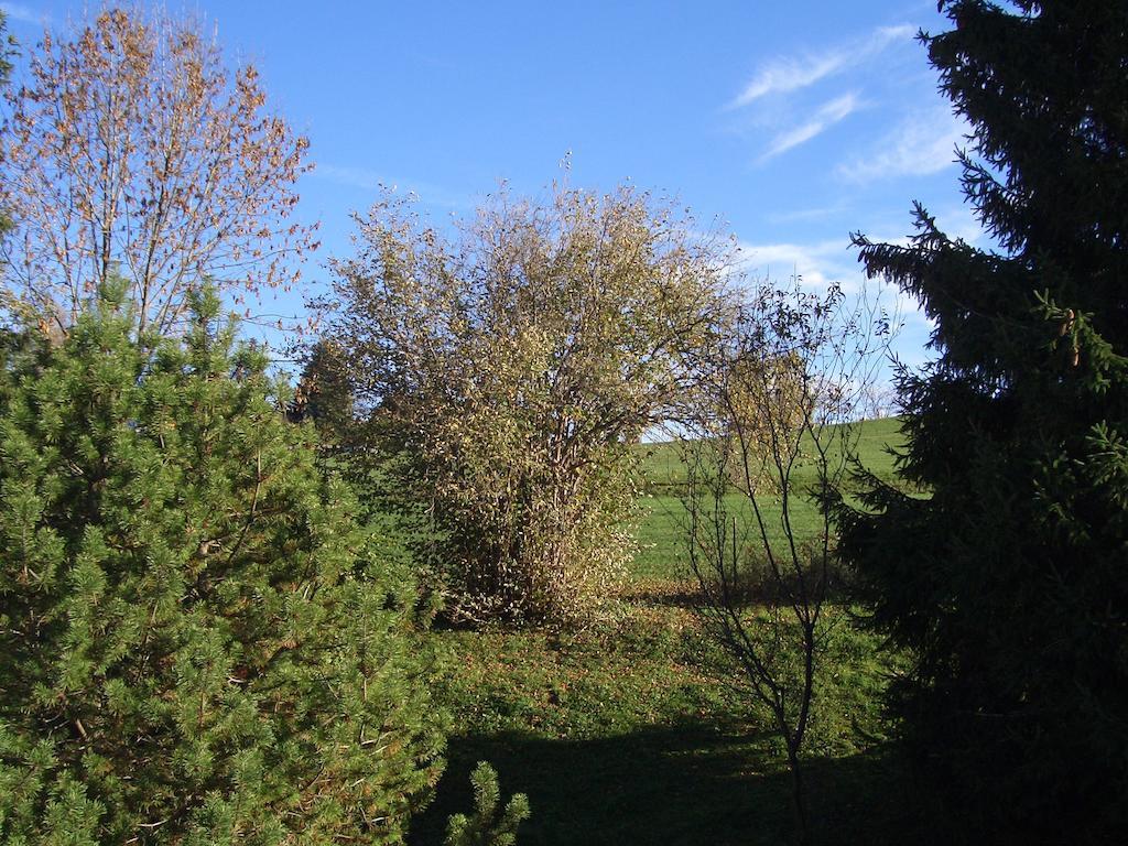 Gastehaus Guggomos "Hopfen Am See" Füssen Cameră foto